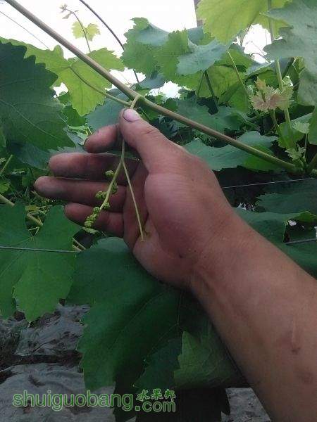 IMG_20150510_170610.jpg