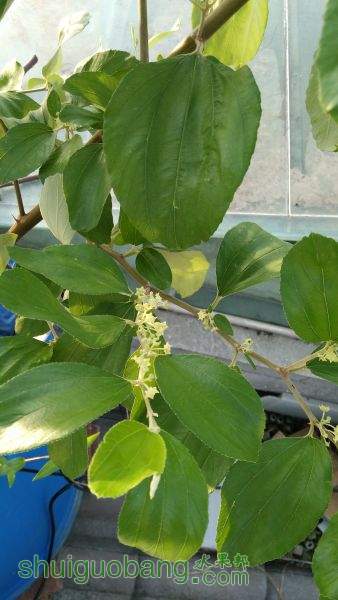 IMG_20150514_063230.jpg