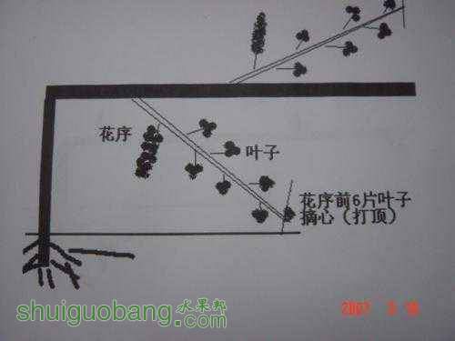 104444w9qnrhqtgruaqzrq.jpg