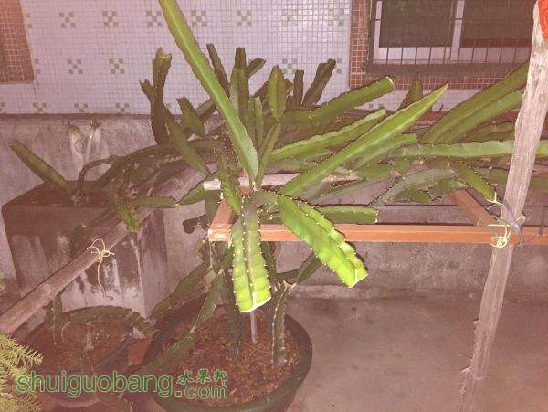 QQͼƬ20150515164449.jpg