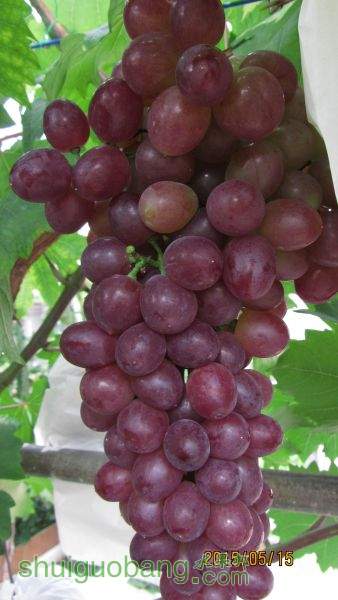 Ѻ 040.jpg