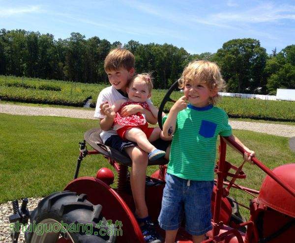 Family-Fun-at-DiMeo-Farms-in-New-Jersey.jpg