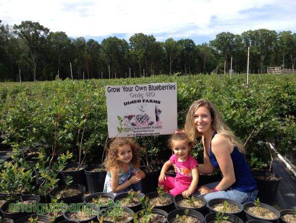 photo.jpg