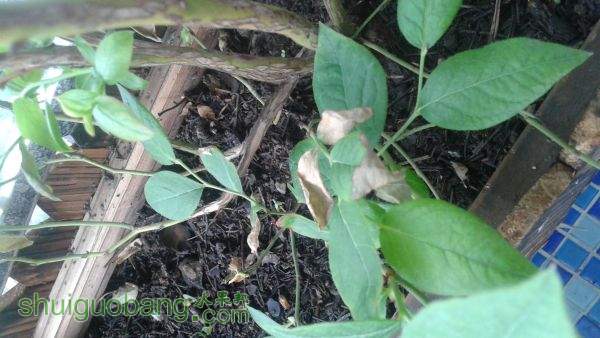 20150514_083047.jpg