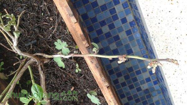 20150514_101436.jpg