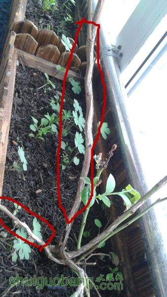 20150514_101443_.jpg