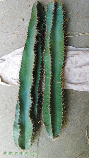174945bjucgnt12uhxhj83.jpg