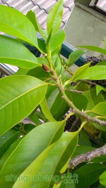 IMG_20150518_171755.jpg