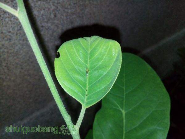 IMG_20150518_183722.jpg