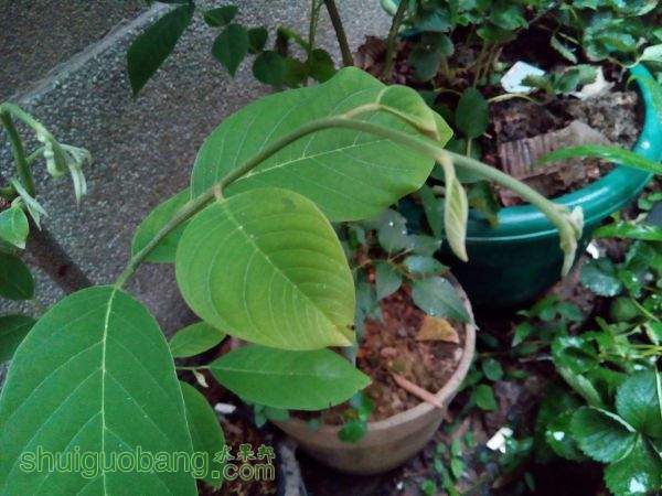 IMG_20150518_183918.jpg