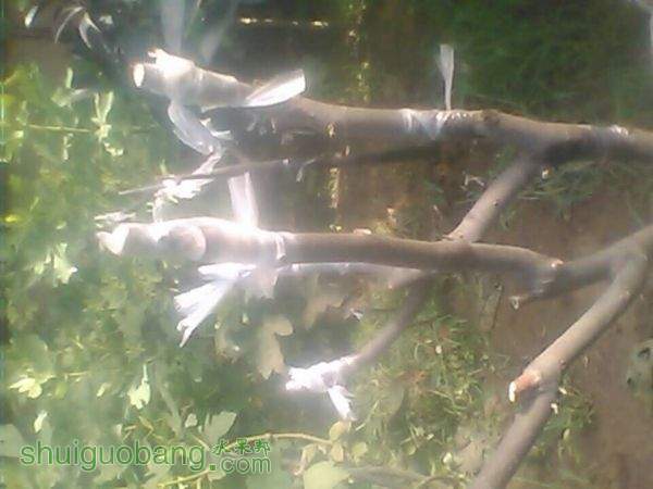QQͼƬ20150519081930.jpg