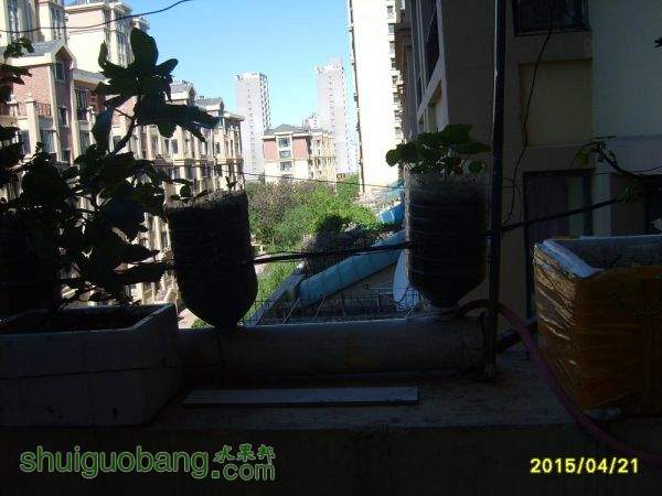 S5000852.JPG