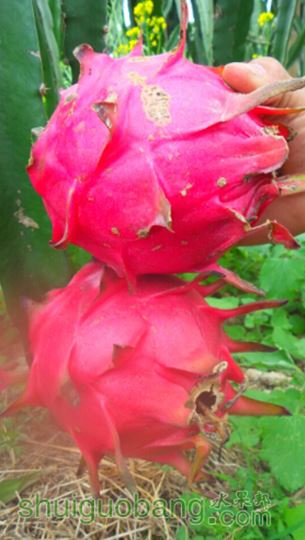 2015-04-15 22.13.55.jpg