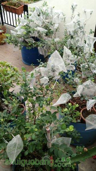 IMG_20150519_073655.jpg