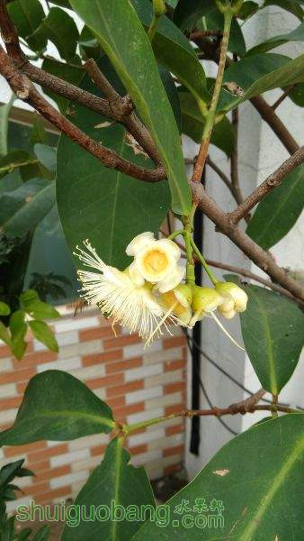 IMG_20150519_072558.jpg