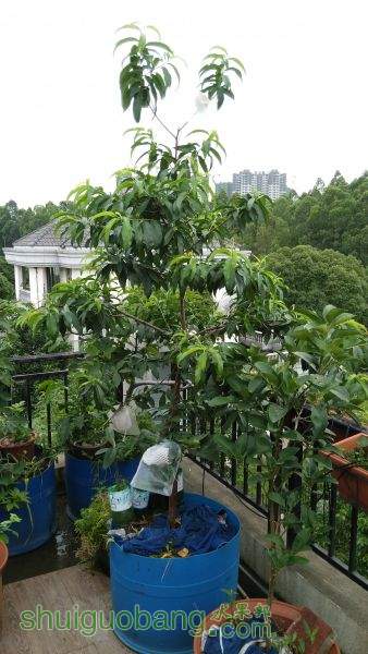 IMG_20150519_072733.jpg
