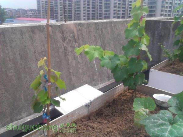 YP20150517095050.jpeg