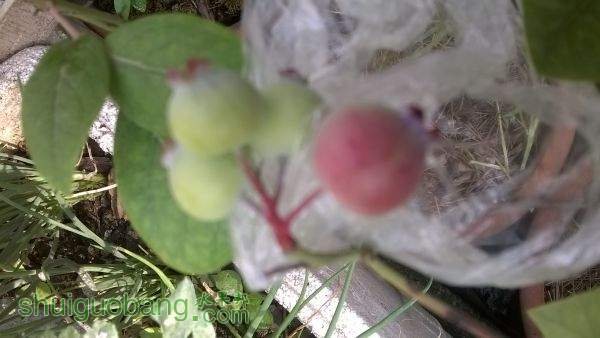 WP_20150520_08_17_38_Pro.jpg