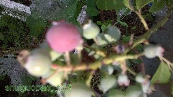 WP_20150520_08_17_57_Pro.jpg