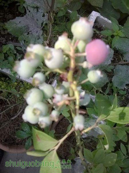 Camera360_2015_5_20_081818.jpg