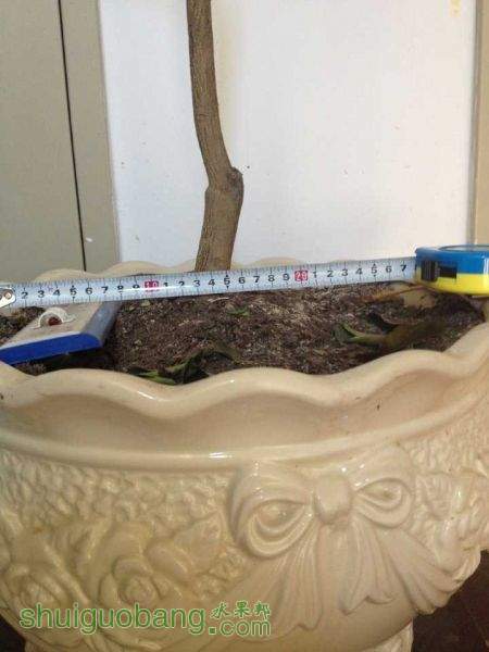 image.jpg