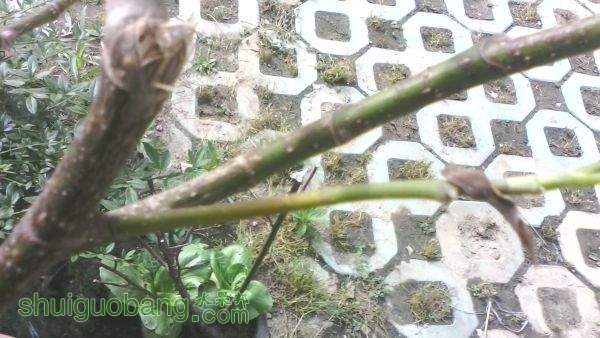 IMG_20150517_084033.jpg