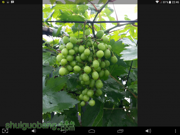 Screenshot_2015-05-20-22-46-18.png