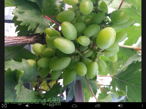 Screenshot_2015-05-20-22-45-49.png