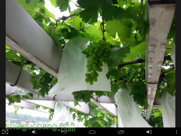 Screenshot_2015-05-20-22-43-58.png