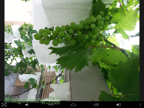 Screenshot_2015-05-20-22-43-34.png