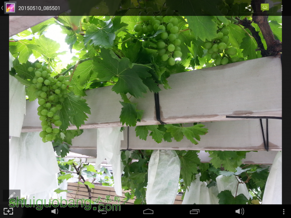 Screenshot_2015-05-20-22-43-16.png