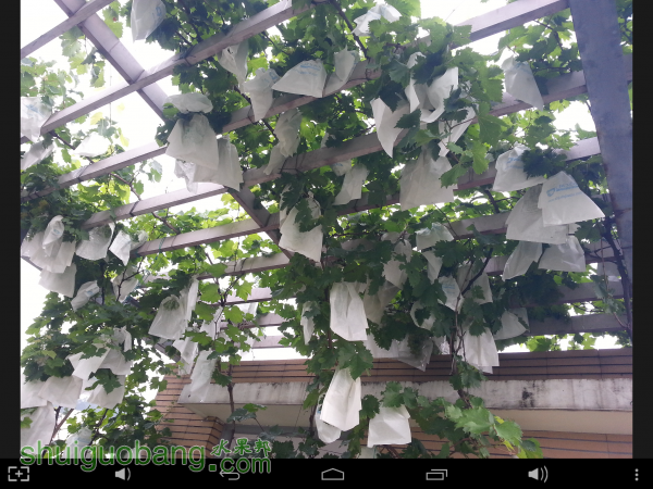 Screenshot_2015-05-20-22-46-09.png