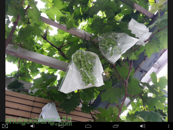 Screenshot_2015-05-20-22-44-59.png