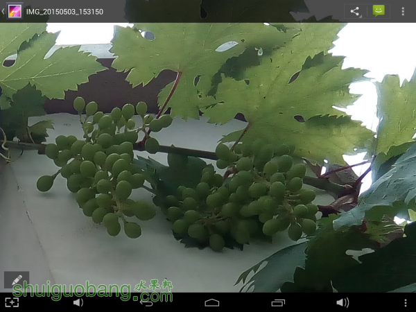 Screenshot_2015-05-04-09-10-45.png