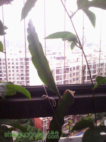 IMG_20150517_175622604.jpg