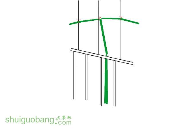 δ-3.jpg