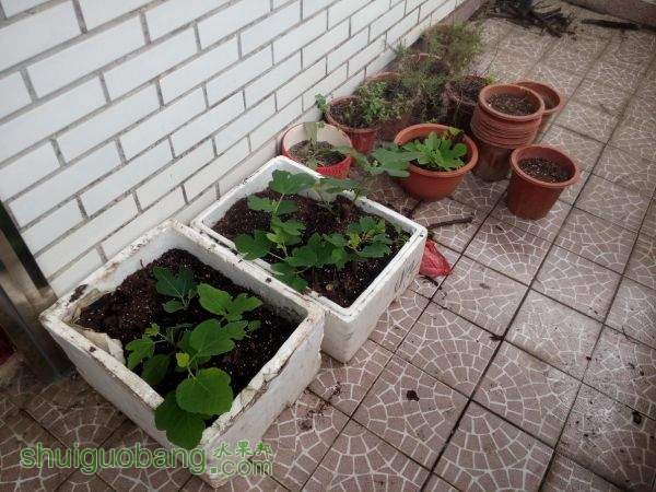 IMG_20150520_105139_1.jpg