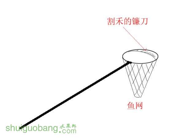 δ-5.jpg