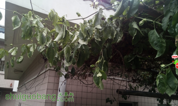 QQ��ͼ20150522093335.png