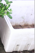QQͼƬ20150513203038.png