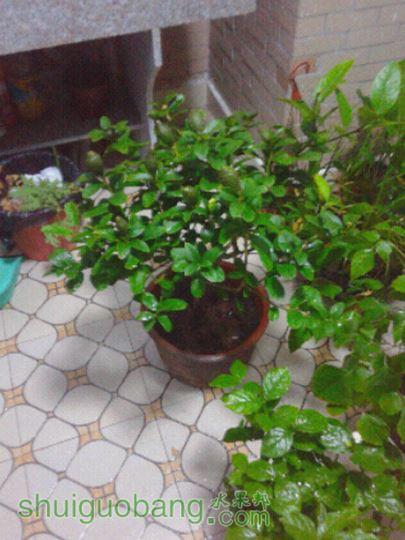 20150522_201337.jpg