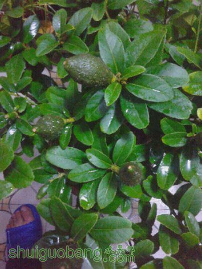 20150522_201313.jpg