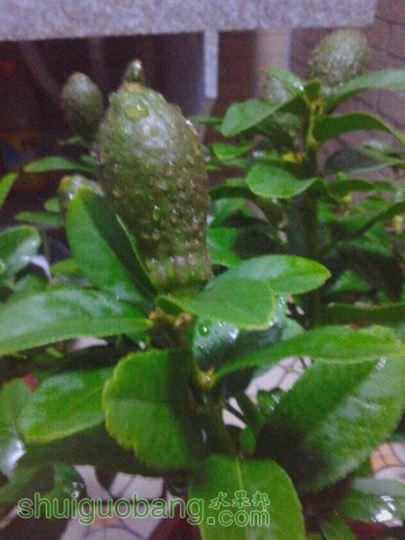 20150522_201121.jpg