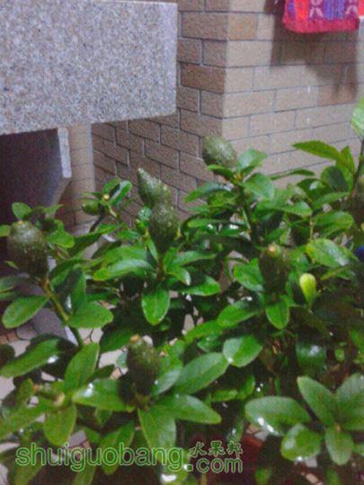 20150522_201149.jpg