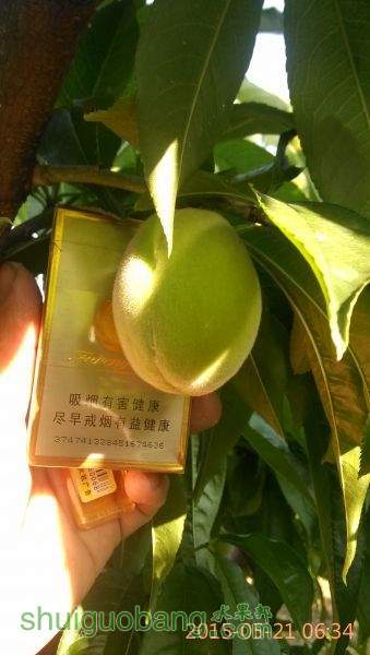 ���Ӳ�����Ӧ���Ǵ���