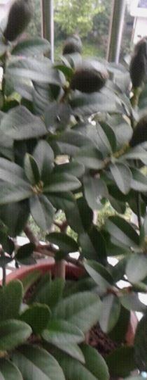 20150523_054250.jpg