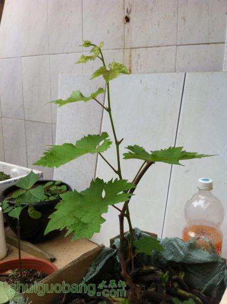 2015-05-24 133404.jpg