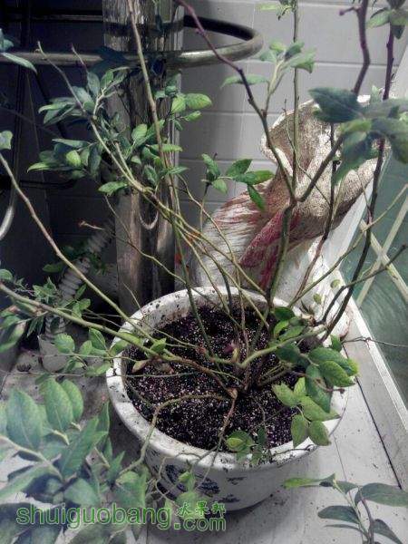QQͼƬ20150525194259.jpg