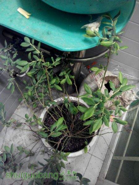 QQͼƬ20150525194313.jpg