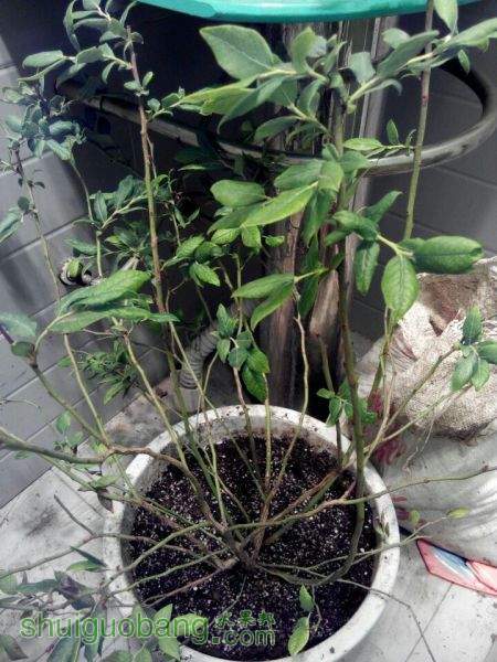 QQͼƬ20150525194308.jpg